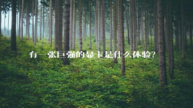 有一张巨强的显卡是什么体验？