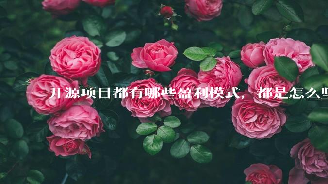 开源项目都有哪些盈利模式，都是怎么坚持下来的？