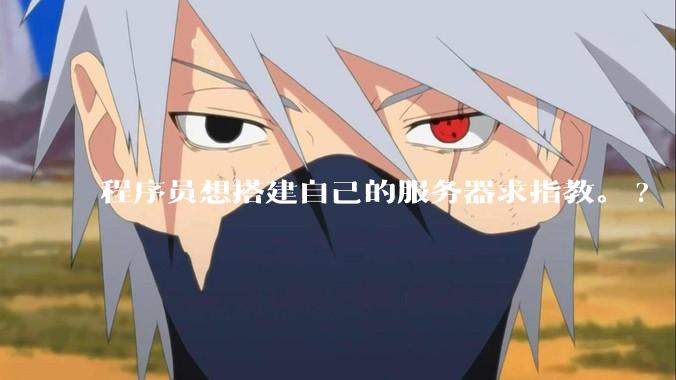 程序员想搭建自己的服务器求指教。?