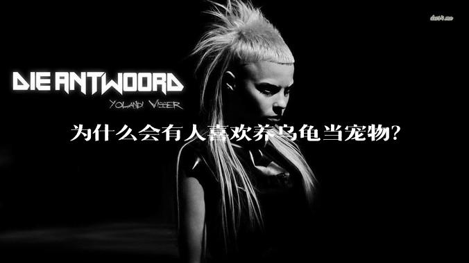 为什么会有人喜欢养乌龟当宠物？