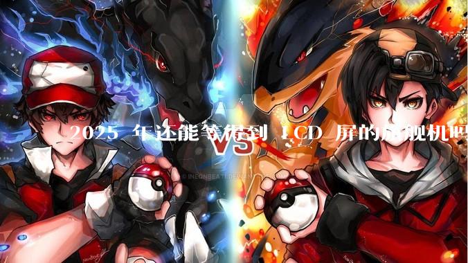 2025 年还能等得到 LCD 屏的旗舰机吗？