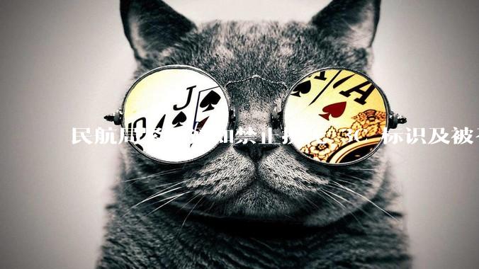 民航局紧急通知禁止携无 3C 标识及被召回的充电宝乘境内航班，无 3C 标识充电宝有哪些安全隐患？