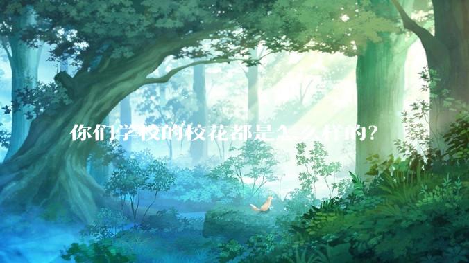 你们学校的校花都是怎么样的？