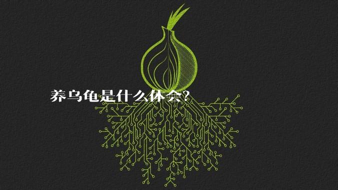 养乌龟是什么体会？