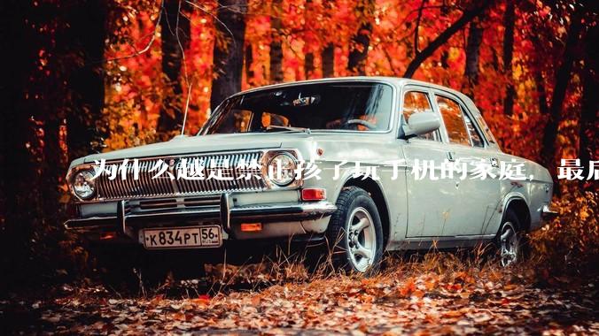 为什么越是禁止孩子玩手机的家庭，最后养出的网瘾少年越多？