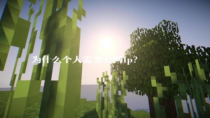 为什么个人需要公网ip？