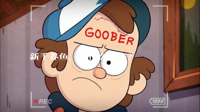 新手养鱼，养什么鱼好？