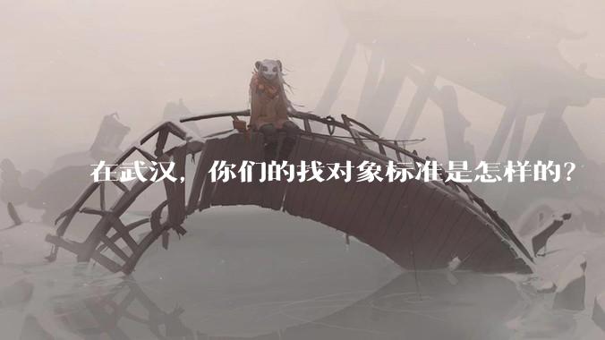 在武汉，你们的找对象标准是怎样的？