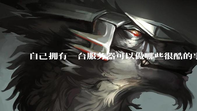 自己拥有一台服务器可以做哪些很酷的事情？