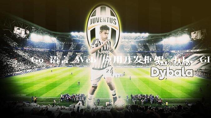 Go 语言 Web 应用开发框架，Iris、Gin、Echo，哪一个更适合大型项目？