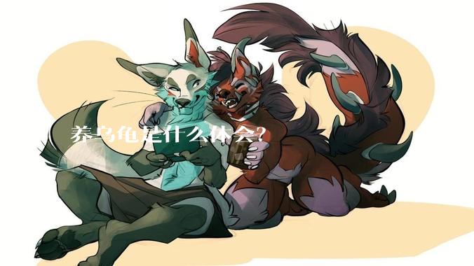 养乌龟是什么体会？