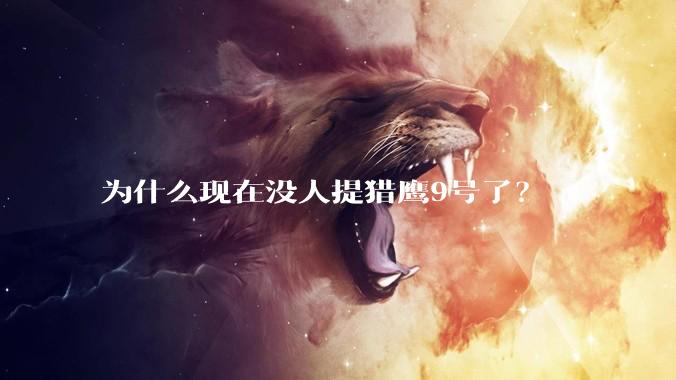 为什么现在没人提猎鹰9号了？