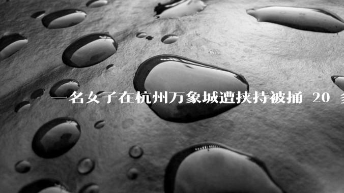 一名女子在杭州万象城遭挟持被捅 20 多刀，隆胸***体救了一命，这反映出哪些公安系统的问题？