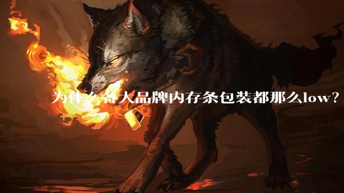 为什么各大品牌内存条包装都那么low？